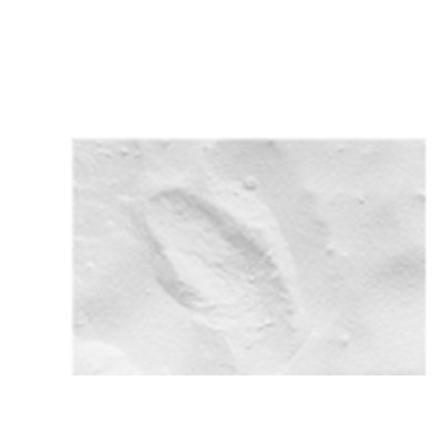 EST Pigmento Mineral Blanco 00