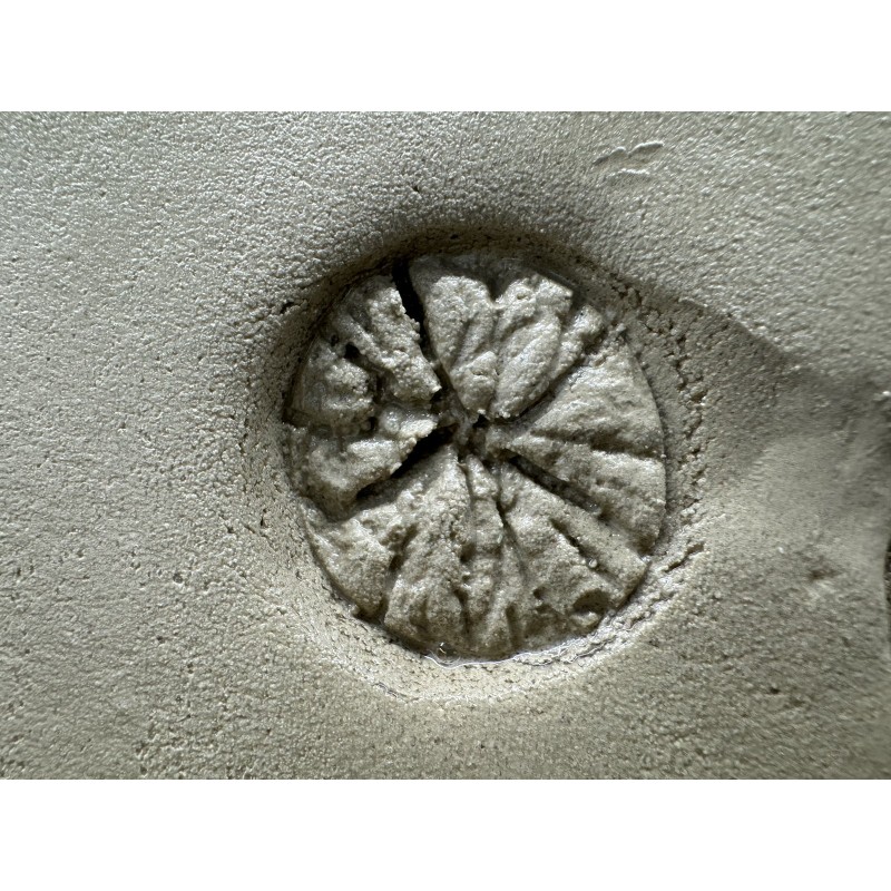 Molde de nudo N1