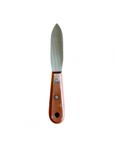Espatula pequeña masilla
